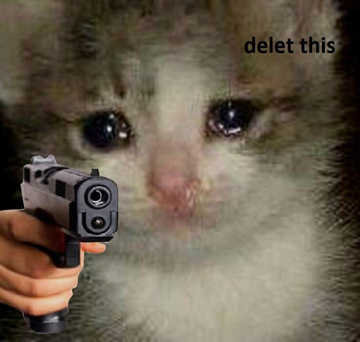 Crying cat with gun Blank Meme Template