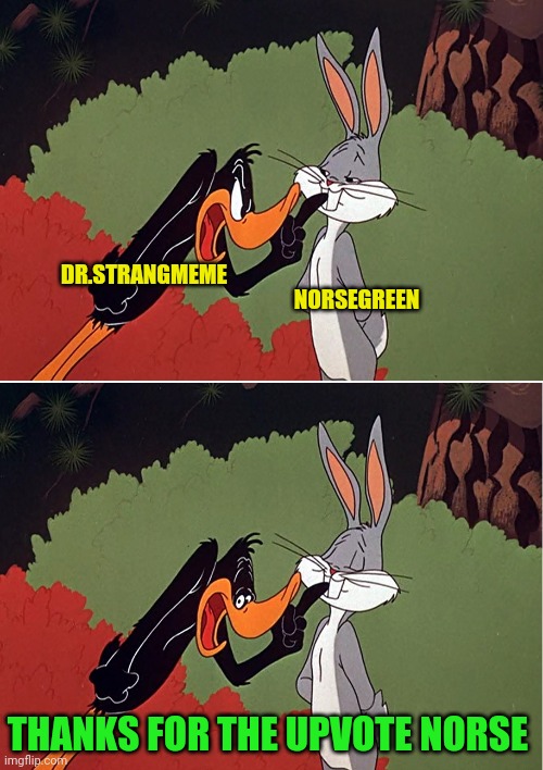 Daffy Duck shuts up | NORSEGREEN THANKS FOR THE UPVOTE NORSE DR.STRANGMEME | image tagged in daffy duck shuts up | made w/ Imgflip meme maker