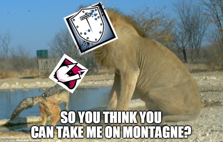 SO YOU THINK YOU CAN TAKE ME ON MONTAGNE? | image tagged in rainbow six siege,memes,pc gaming | made w/ Imgflip meme maker