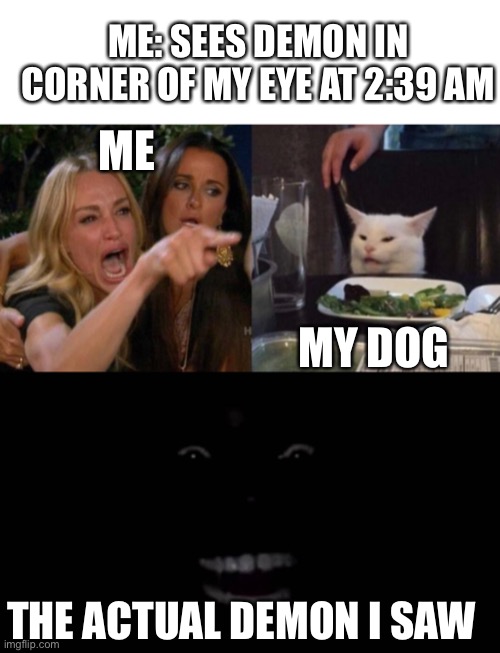 That craps scary | ME: SEES DEMON IN CORNER OF MY EYE AT 2:39 AM; ME; MY DOG; THE ACTUAL DEMON I SAW | image tagged in woman yelling at cat,memes | made w/ Imgflip meme maker