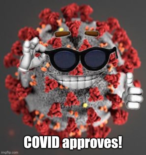 Coronavirus | COVID approves! | image tagged in coronavirus | made w/ Imgflip meme maker