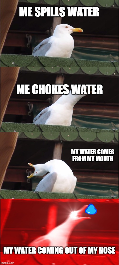 Inhaling Seagull | ME SPILLS WATER; ME CHOKES WATER; MY WATER COMES FROM MY MOUTH; MY WATER COMING OUT OF MY NOSE | image tagged in memes,inhaling seagull | made w/ Imgflip meme maker