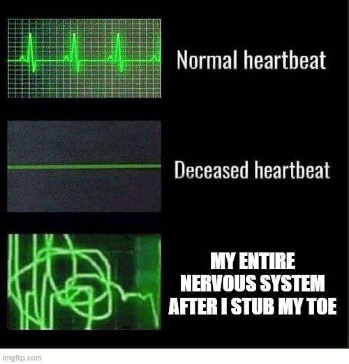 normal heartbeat deceased heartbeat | MY ENTIRE NERVOUS SYSTEM AFTER I STUB MY TOE | image tagged in normal heartbeat deceased heartbeat | made w/ Imgflip meme maker