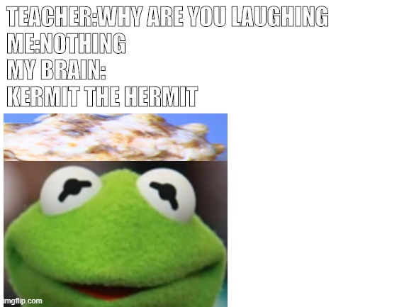 TEACHER:WHY ARE YOU LAUGHING
ME:NOTHING 
MY BRAIN:
KERMIT THE HERMIT | image tagged in memes,funny memes | made w/ Imgflip meme maker