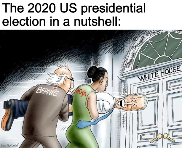 Trump & Pence 2020 | The 2020 US presidential election in a nutshell: | image tagged in funny,memes,politics,comics/cartoons | made w/ Imgflip meme maker