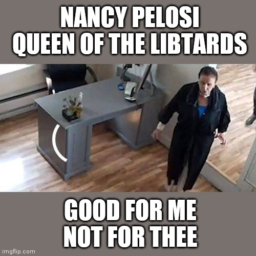 NANCY PELOSI QUEEN OF THE LIBTARDS; GOOD FOR ME NOT FOR THEE | image tagged in memes | made w/ Imgflip meme maker