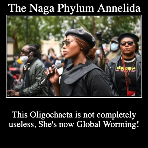 Oligochaetes are used in studies of Physiology Regeneration & Metabolic Gradients.This Naga just promotes Organic Contamination. | image tagged in funny,demotivationals,blm,dungeons and dragons,marxism,antifa | made w/ Imgflip demotivational maker