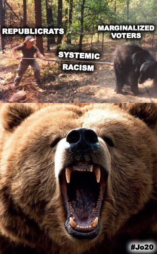MARGINALIZED VOTERS; REPUBLICRATS; SYSTEMIC; RACISM; #Jo20 | image tagged in poke the bear,democrat,racism,republican,marginalized,jorgensen | made w/ Imgflip meme maker