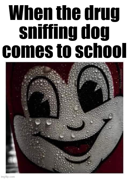 Sweat it out | When the drug sniffing dog comes to school | image tagged in drugs are bad,sweating bullets,sniff | made w/ Imgflip meme maker
