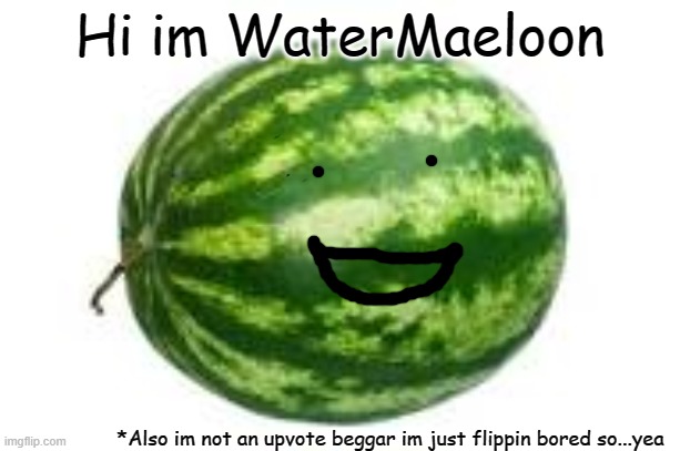WaterMaeloon | Hi im WaterMaeloon; *Also im not an upvote beggar im just flippin bored so...yea | image tagged in best name,ever | made w/ Imgflip meme maker