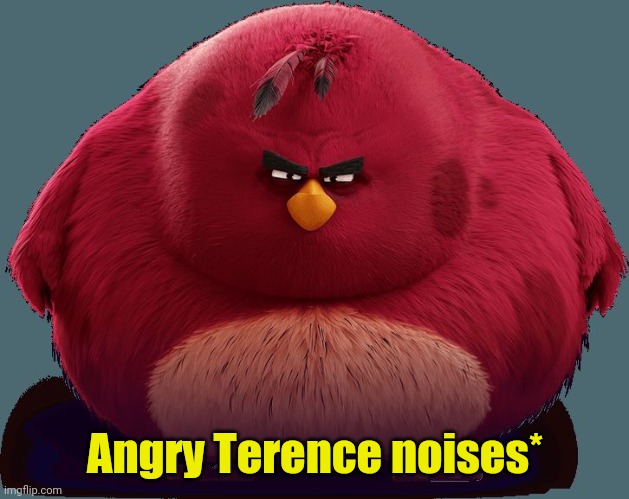 Angry Birds - Terence | Angry Terence noises* | image tagged in angry birds - terence | made w/ Imgflip meme maker