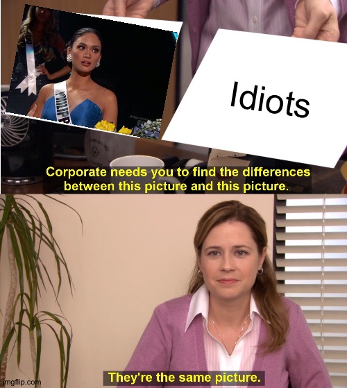 They're The Same Picture | Idiots | image tagged in memes,they're the same picture | made w/ Imgflip meme maker