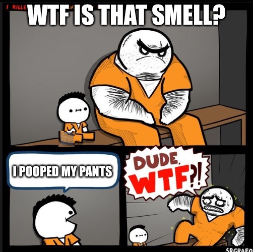 Srgrafo dude wtf | WTF IS THAT SMELL? I POOPED MY PANTS | image tagged in srgrafo dude wtf | made w/ Imgflip meme maker