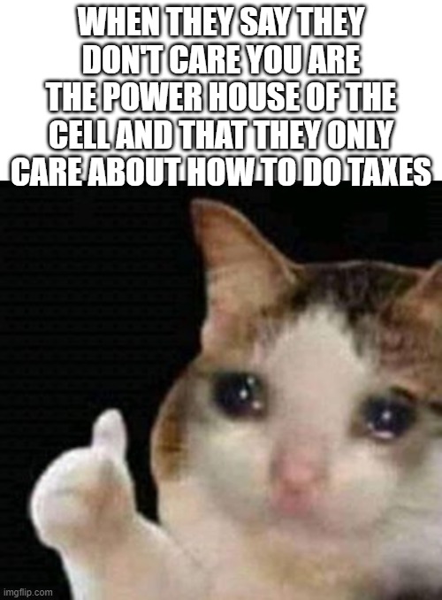 WHEN THEY SAY THEY DON'T CARE YOU ARE THE POWER HOUSE OF THE CELL AND THAT THEY ONLY CARE ABOUT HOW TO DO TAXES | image tagged in blank white template,sad thumbs up cat,dankmemes | made w/ Imgflip meme maker