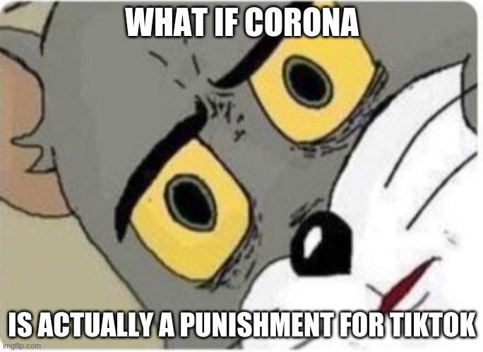 might be idk | WHAT IF CORONA; IS ACTUALLY A PUNISHMENT FOR TIKTOK | image tagged in tom and jerry meme | made w/ Imgflip meme maker