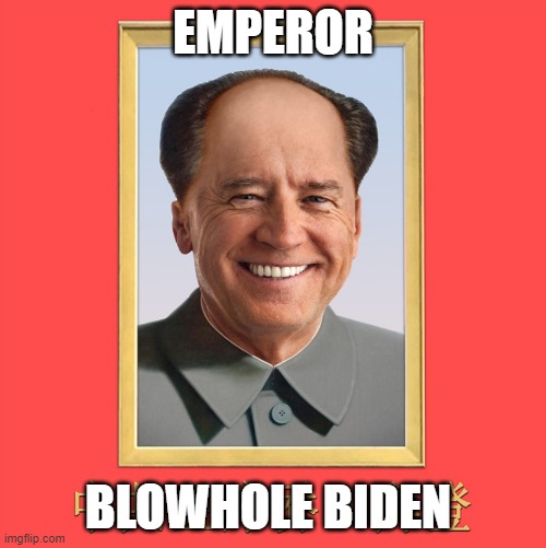 BIDEN | EMPEROR; BLOWHOLE BIDEN | image tagged in dazed and confused | made w/ Imgflip meme maker