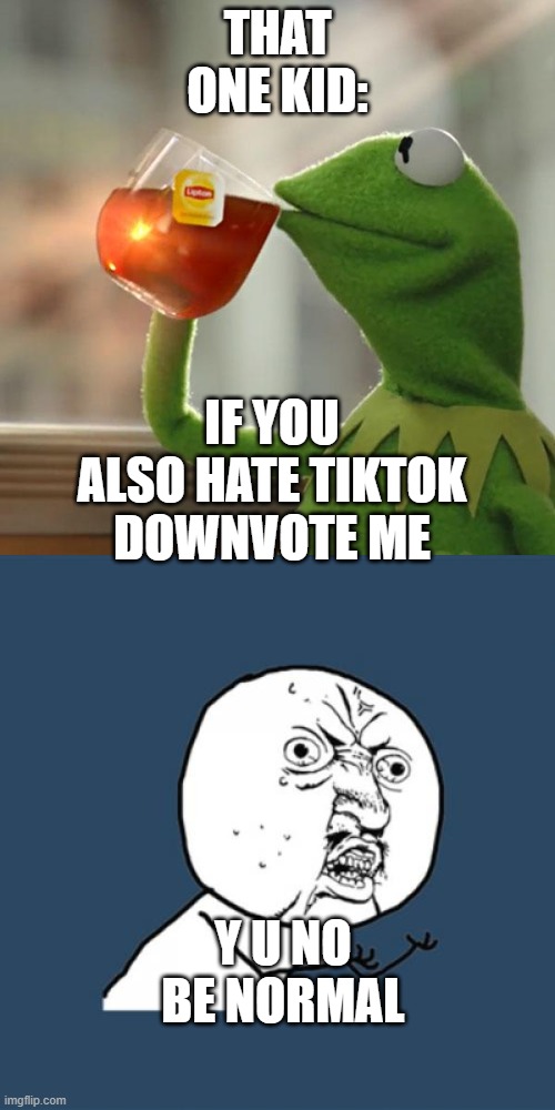 Smart huh? | THAT ONE KID:; IF YOU ALSO HATE TIKTOK DOWNVOTE ME; Y U NO BE NORMAL | image tagged in memes,y u no,but that's none of my business | made w/ Imgflip meme maker