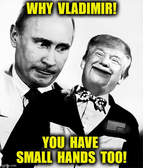 Cold Too | WHY  VLADIMIR! YOU  HAVE  SMALL  HANDS  TOO! | image tagged in trump putin's puppet,trump pence 2020,small hands,kompromat,memes | made w/ Imgflip meme maker
