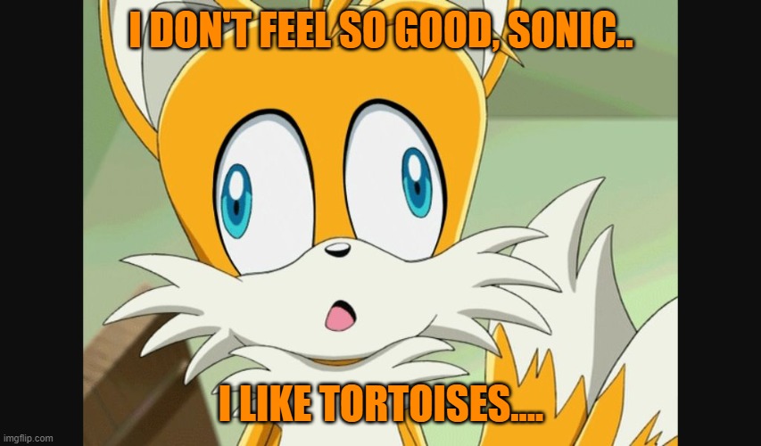 sonic- Derp Tails | I DON'T FEEL SO GOOD, SONIC.. I LIKE TORTOISES.... | image tagged in sonic- derp tails | made w/ Imgflip meme maker