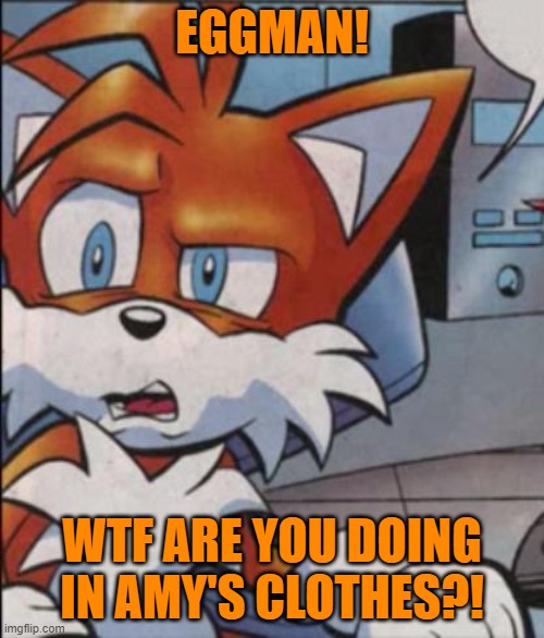 Tails WTF |  EGGMAN! WTF ARE YOU DOING IN AMY'S CLOTHES?! | image tagged in tails wtf | made w/ Imgflip meme maker