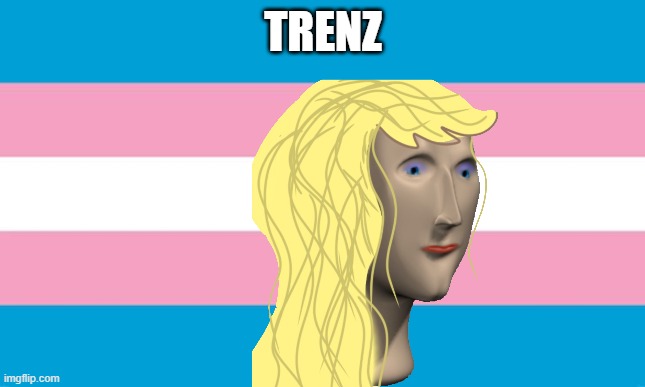 transgender meme woman | TRENZ | image tagged in transgender flag,meme woman,stonks | made w/ Imgflip meme maker