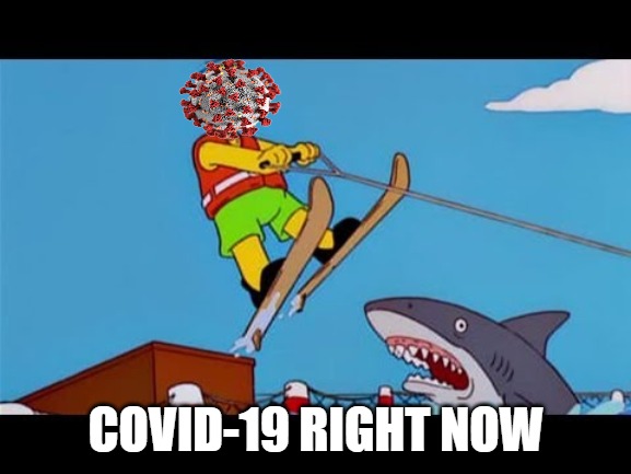 Highlighted Irrelevance | COVID-19 RIGHT NOW | image tagged in jumping the shark | made w/ Imgflip meme maker