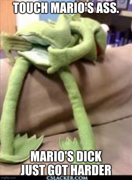 SMG4 characters in a Kermit Nutshell! Meme 1: Mario. | TOUCH MARIO'S ASS. MARIO'S DICK JUST GOT HARDER | image tagged in gay kermit | made w/ Imgflip meme maker