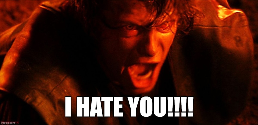 I HATE YOU!!!! | image tagged in anakin i hate you | made w/ Imgflip meme maker
