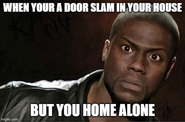 Kevin Hart Meme | WHEN YOUR A DOOR SLAM IN YOUR HOUSE; BUT YOU HOME ALONE | image tagged in memes,kevin hart | made w/ Imgflip meme maker