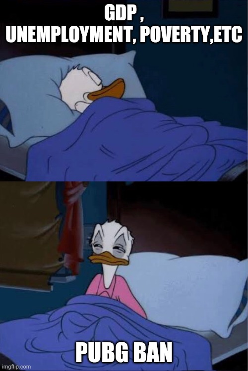 donald duck waking up | GDP , UNEMPLOYMENT, POVERTY,ETC; PUBG BAN | image tagged in donald duck waking up | made w/ Imgflip meme maker