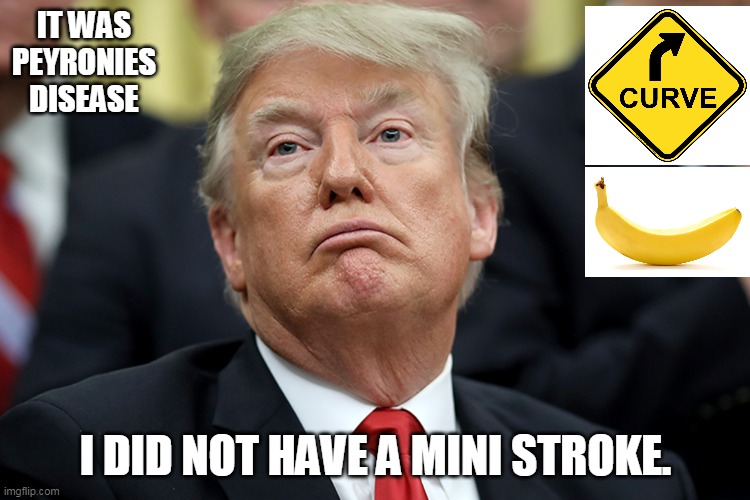library | IT WAS PEYRONIES DISEASE; I DID NOT HAVE A MINI STROKE. | image tagged in donald trump | made w/ Imgflip meme maker