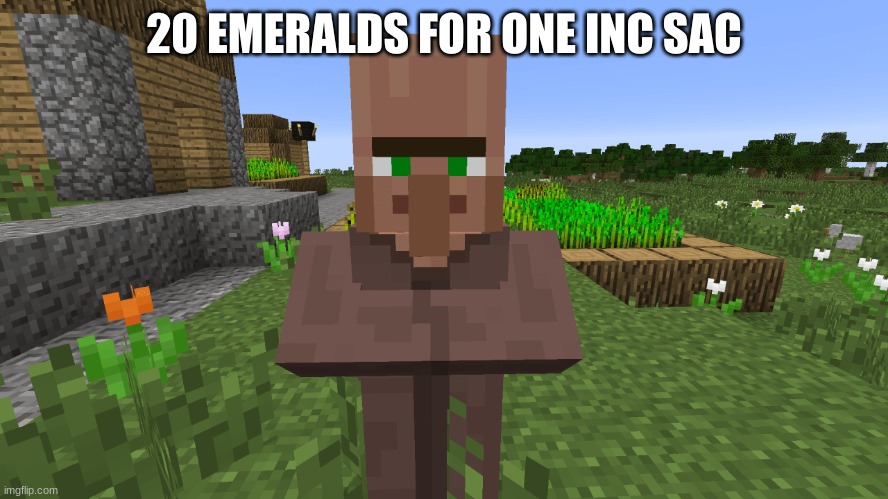 20 EMERALDS FOR ONE INC SAC | made w/ Imgflip meme maker