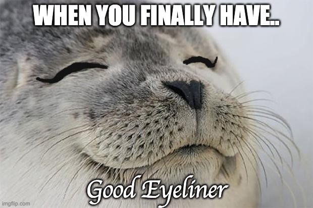 Satisfied Seal Meme | WHEN YOU FINALLY HAVE.. Good Eyeliner | image tagged in memes,satisfied seal | made w/ Imgflip meme maker