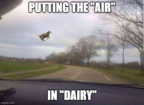 WHAT is going on here |  PUTTING THE "AIR"; IN "DAIRY" | image tagged in funny,cows,flying,wtf,what the hell,mad cow | made w/ Imgflip meme maker