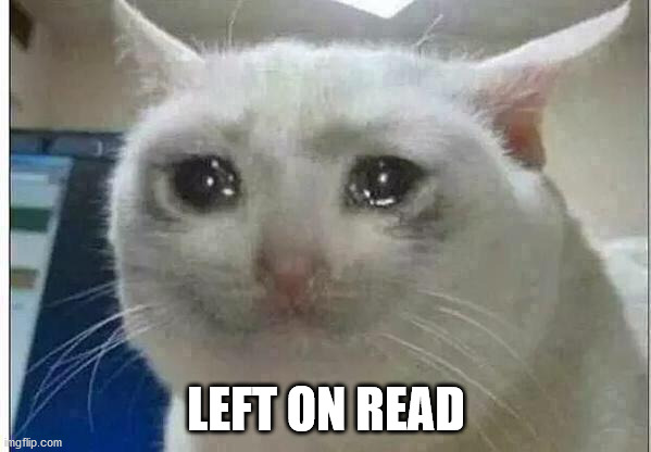 crying cat | LEFT ON READ | image tagged in crying cat | made w/ Imgflip meme maker