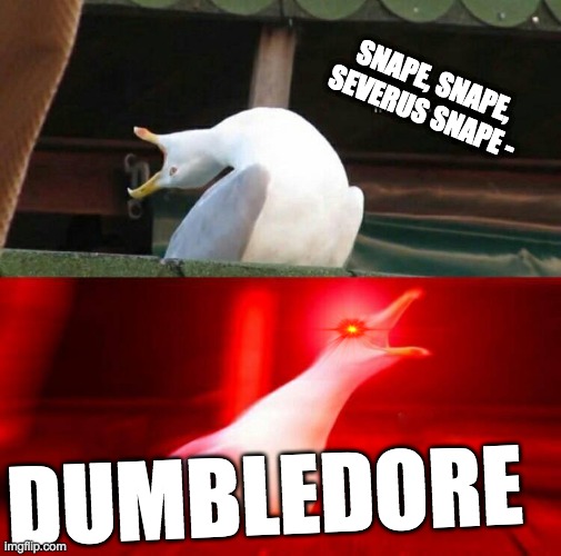 Me screaming about Harry potter at 2 AM. | SNAPE, SNAPE, SEVERUS SNAPE -; DUMBLEDORE | image tagged in inhaling seagull,harry potter | made w/ Imgflip meme maker