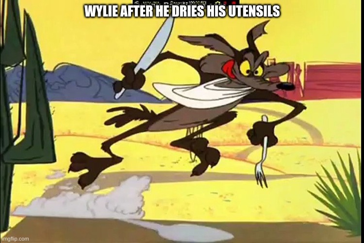 Coyote Scrambled Aches | WYLIE AFTER HE DRIES HIS UTENSILS | image tagged in coyote scrambled aches | made w/ Imgflip meme maker