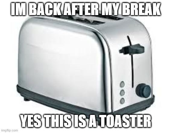Im back | IM BACK AFTER MY BREAK; YES THIS IS A TOASTER | image tagged in toaster | made w/ Imgflip meme maker