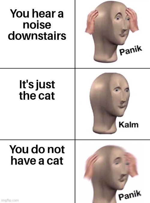 i dont have a cat | image tagged in panik kalm panik | made w/ Imgflip meme maker