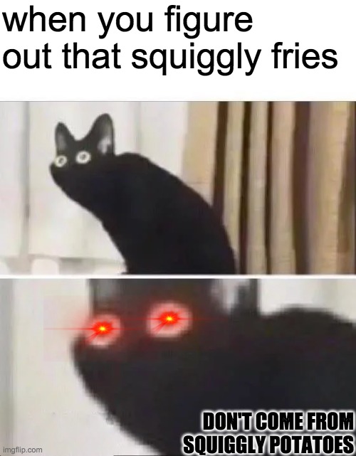 but how are they squiggly?? | when you figure out that squiggly fries; DON'T COME FROM SQUIGGLY POTATOES | image tagged in oh no black cat | made w/ Imgflip meme maker