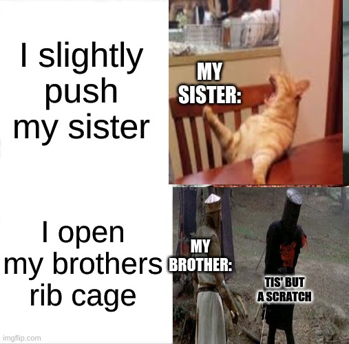 sorry if this is a meme | I slightly push my sister; MY SISTER:; I open my brothers rib cage; MY BROTHER:; TIS' BUT A SCRATCH | image tagged in memes | made w/ Imgflip meme maker