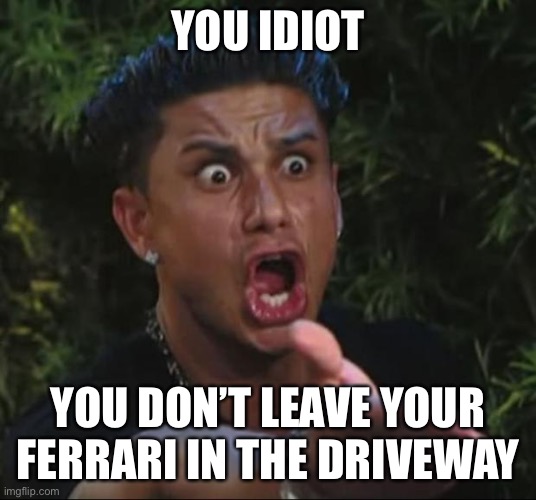 DJ Pauly D Meme | YOU IDIOT YOU DON’T LEAVE YOUR FERRARI IN THE DRIVEWAY | image tagged in memes,dj pauly d | made w/ Imgflip meme maker