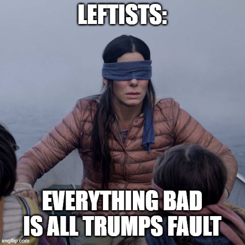 Bird Box Meme | LEFTISTS: EVERYTHING BAD IS ALL TRUMPS FAULT | image tagged in memes,bird box | made w/ Imgflip meme maker