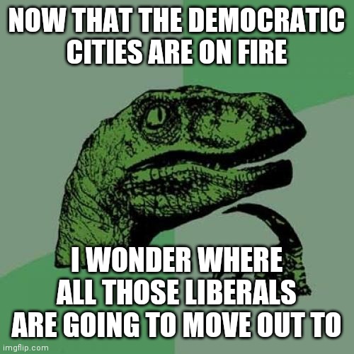 Philosoraptor Meme | NOW THAT THE DEMOCRATIC CITIES ARE ON FIRE; I WONDER WHERE ALL THOSE LIBERALS ARE GOING TO MOVE OUT TO | image tagged in memes,philosoraptor,riots | made w/ Imgflip meme maker