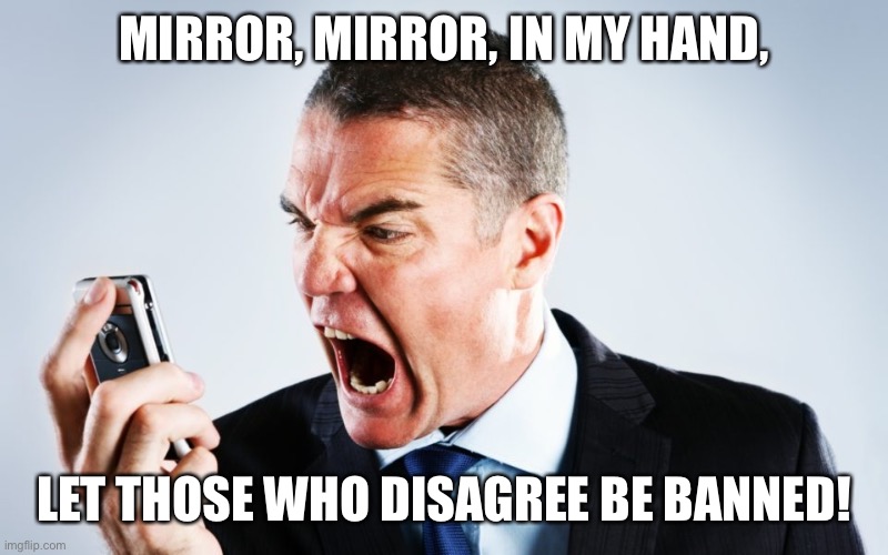 MIRROR, MIRROR, IN MY HAND, LET THOSE WHO DISAGREE BE BANNED! | image tagged in unfriend,unfriended,social media,facebook jail,block,blocked | made w/ Imgflip meme maker