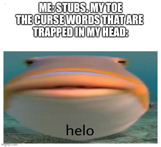 helo fish | ME: STUBS. MY TOE
THE CURSE WORDS THAT ARE 
TRAPPED IN MY HEAD: | image tagged in helo fish | made w/ Imgflip meme maker