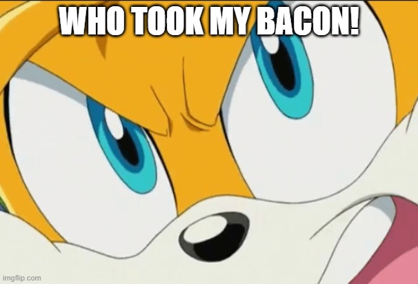 WHO TOOK TAILS' BACON | WHO TOOK MY BACON! | image tagged in shouting tails | made w/ Imgflip meme maker