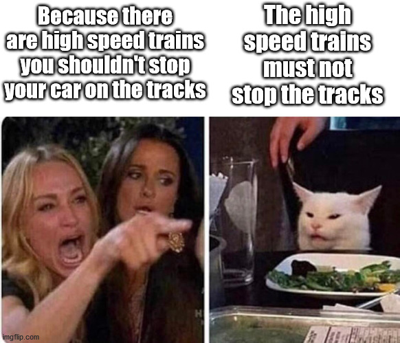 Lady screams at cat | Because there are high speed trains you shouldn't stop your car on the tracks The high speed trains must not stop the tracks | image tagged in lady screams at cat | made w/ Imgflip meme maker