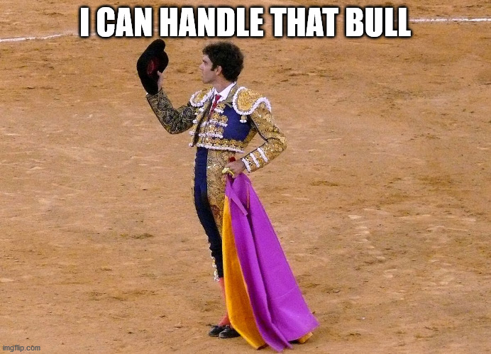 I CAN HANDLE THAT BULL | made w/ Imgflip meme maker