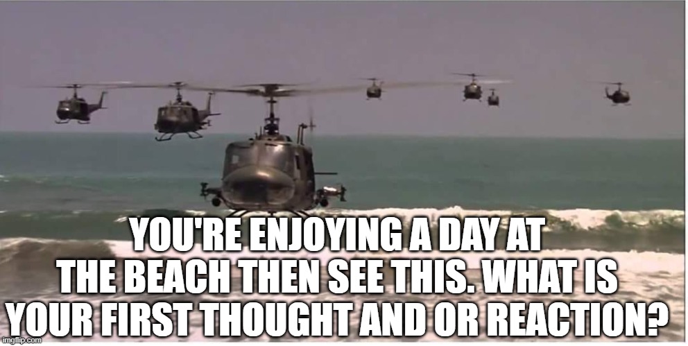Beach Chopper | YOU'RE ENJOYING A DAY AT THE BEACH THEN SEE THIS. WHAT IS YOUR FIRST THOUGHT AND OR REACTION? | image tagged in funny | made w/ Imgflip meme maker